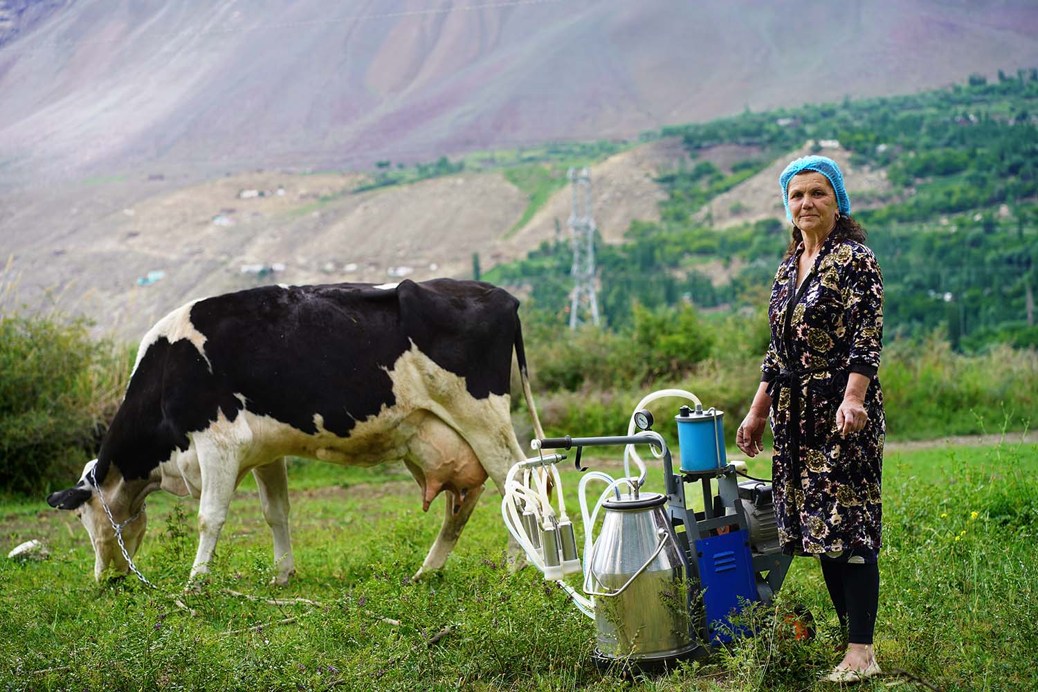 A woman stands in a field with a cow and a dairy machine.