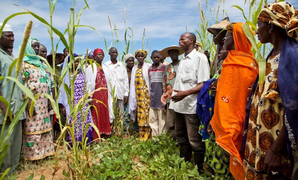 Field training course that is part of the Aga Khan Foundation and USDA supported Mopti Coordinated Area Development Program in Mali