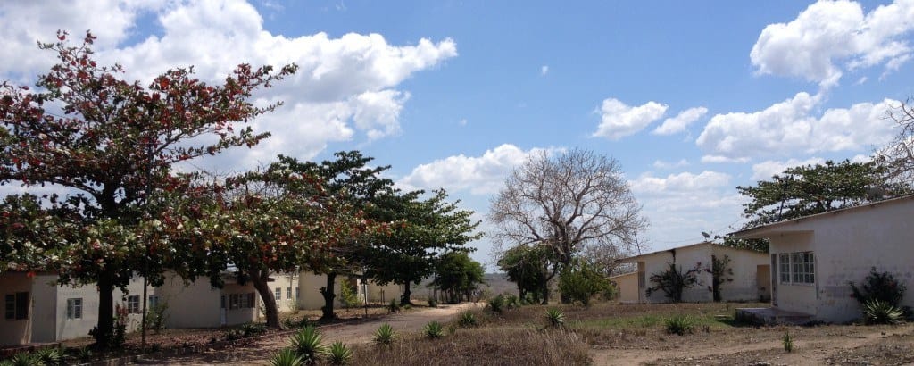 Mozambique Landscape