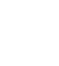 Light bulb icon